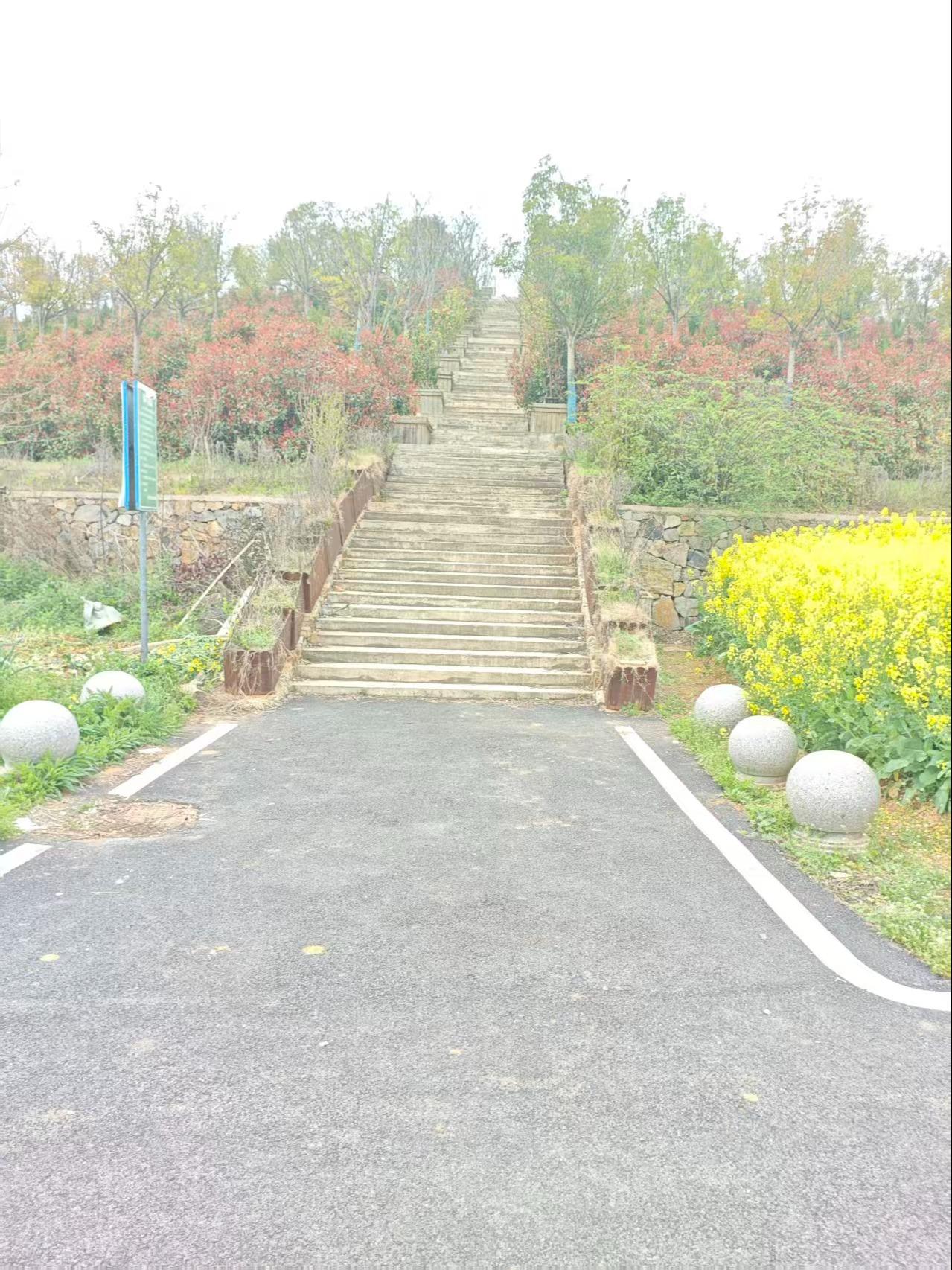庐江县矾山镇元宝山陵园园区图片