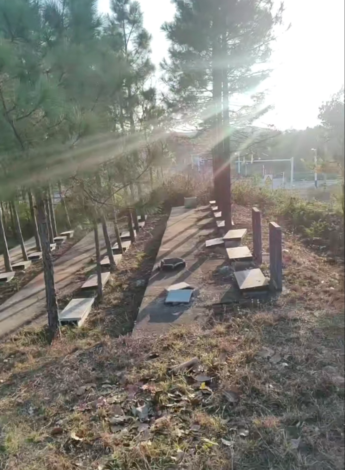 江塘乡龙形山公墓园区图片