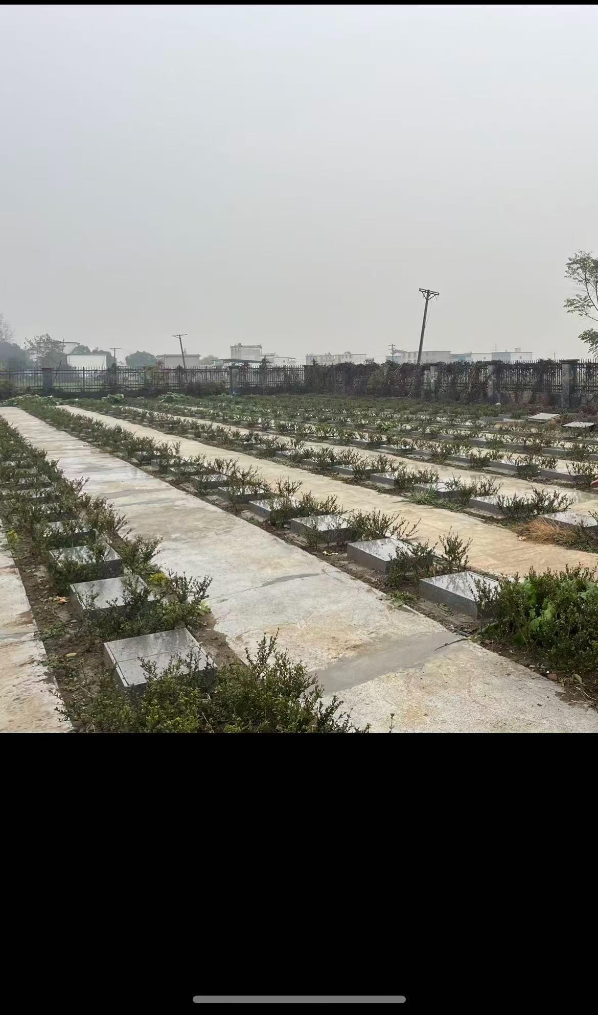六十铺镇桃花店公益性公墓园区图片