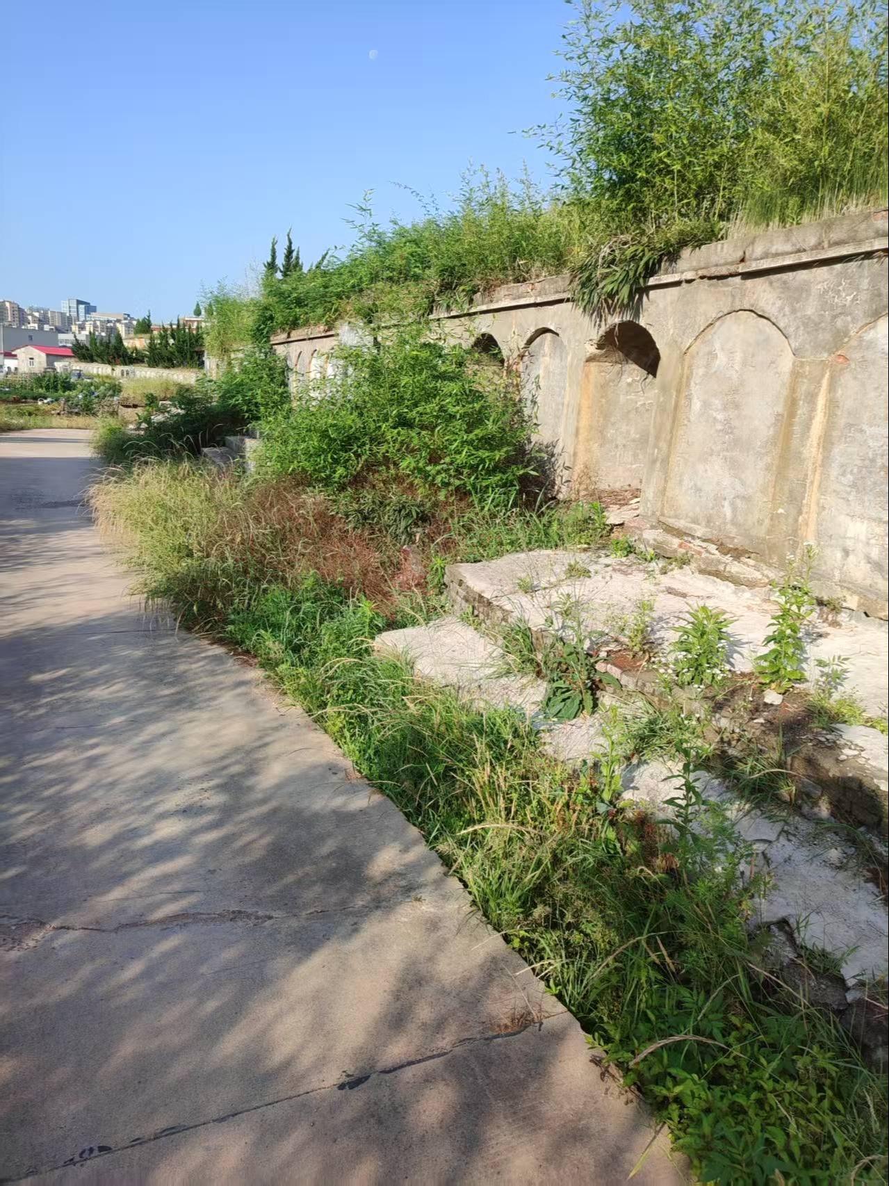 司楼公墓园区图片