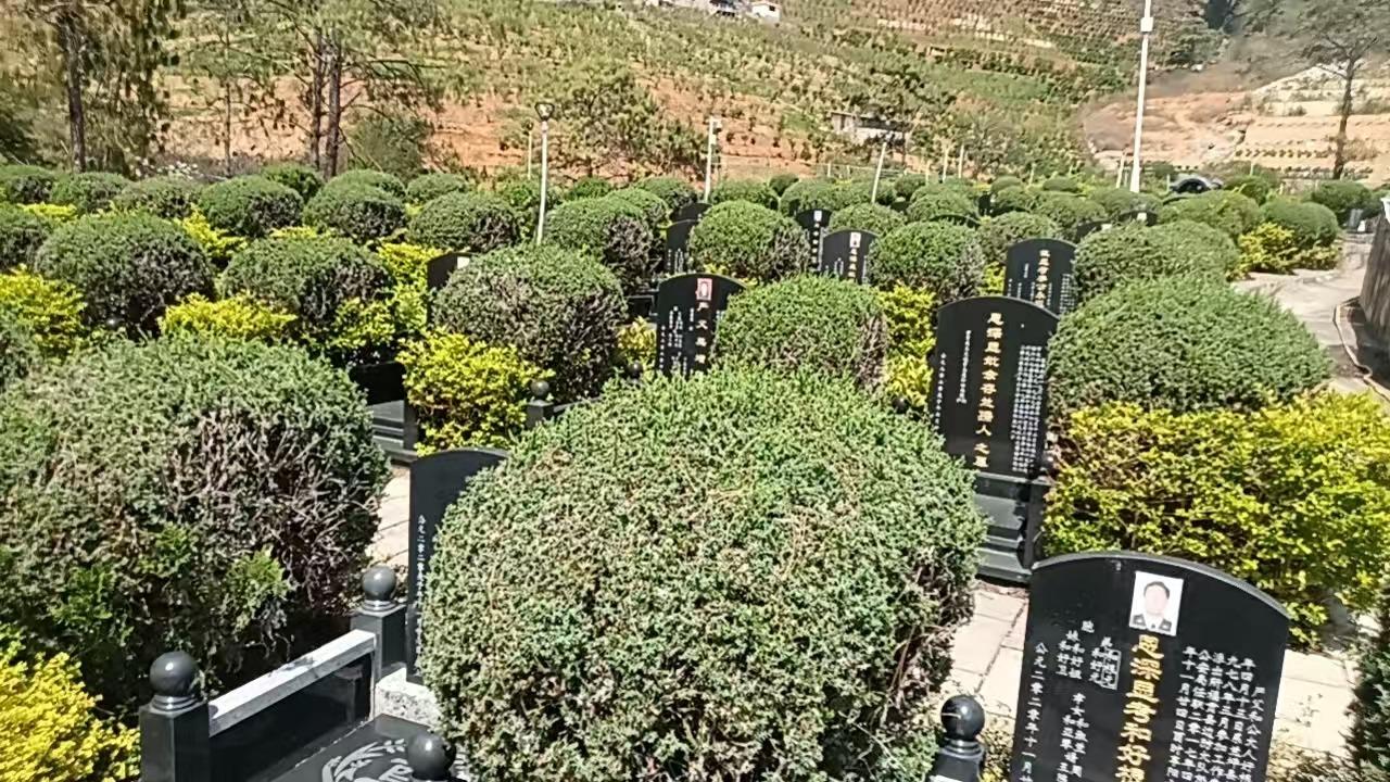 泸水市城市公益性公墓园区图片