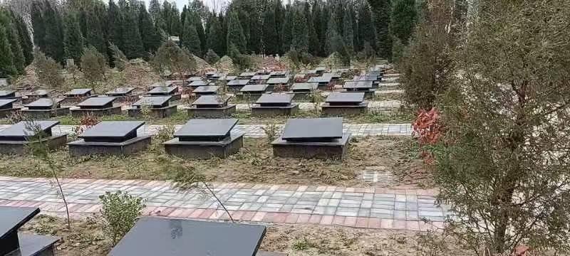 程家集镇公益性公墓园区图片