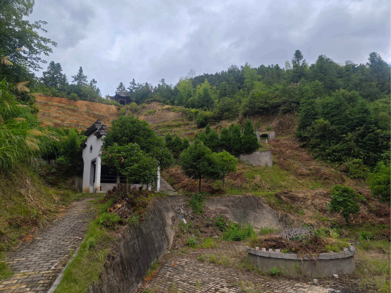 森村乡森村村公益性公墓园区图片