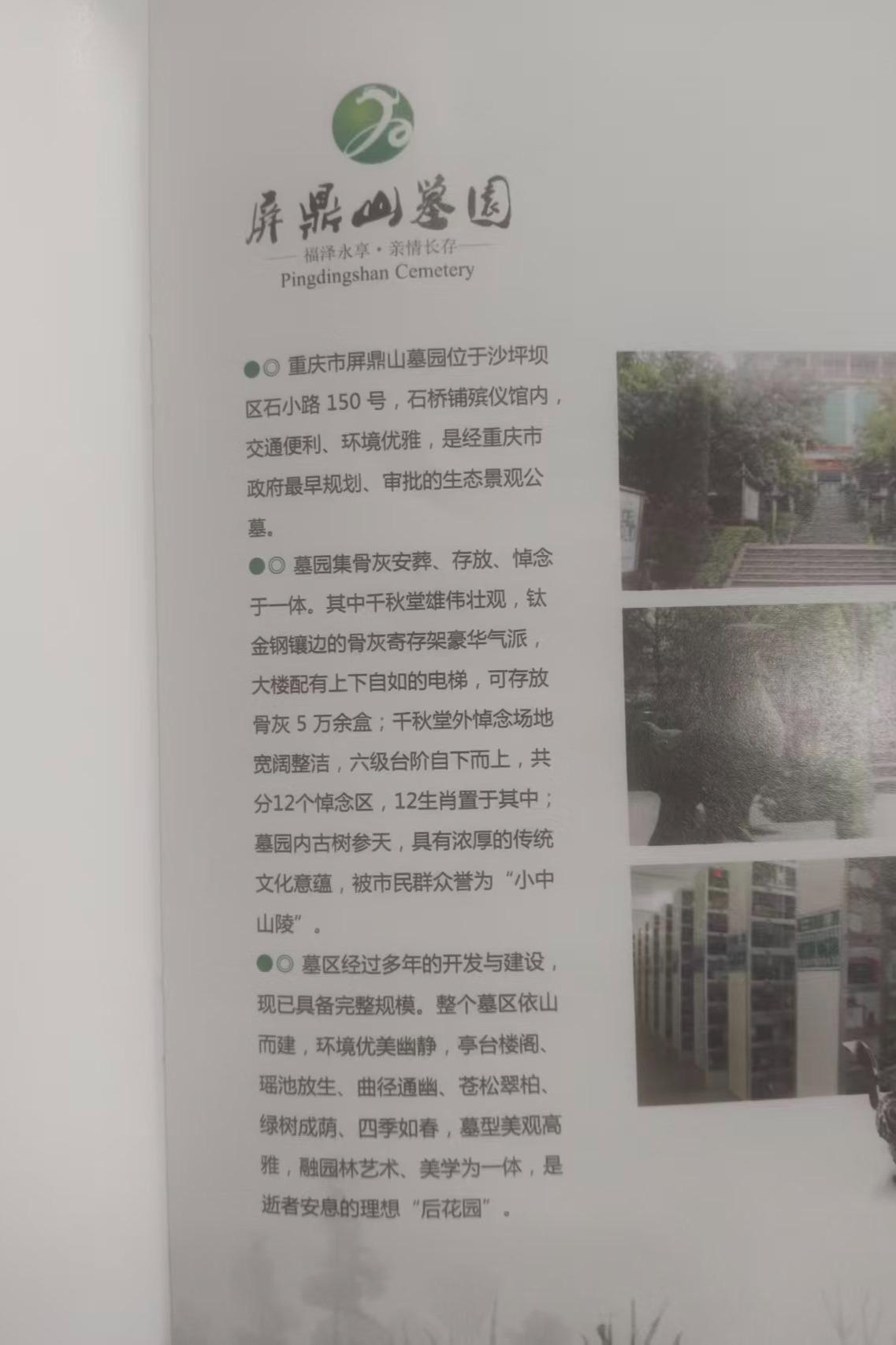 屏鼎山墓园园区图片