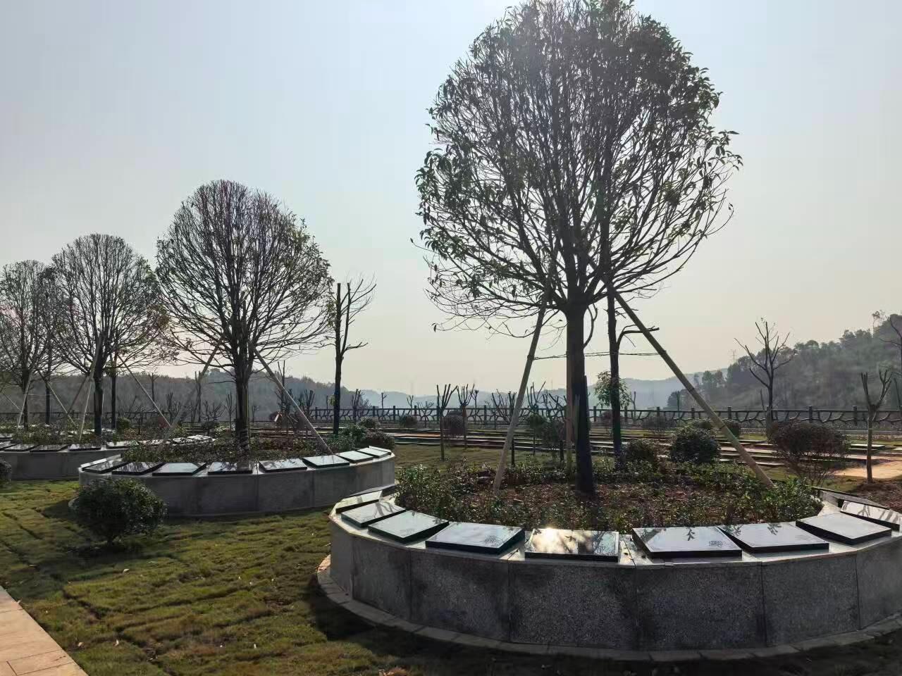 宜都市枝城镇方湾园生命纪念园园区图片