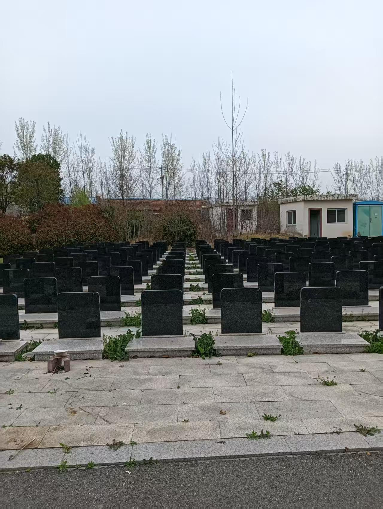 谯城区十河镇公益性公墓园区图片