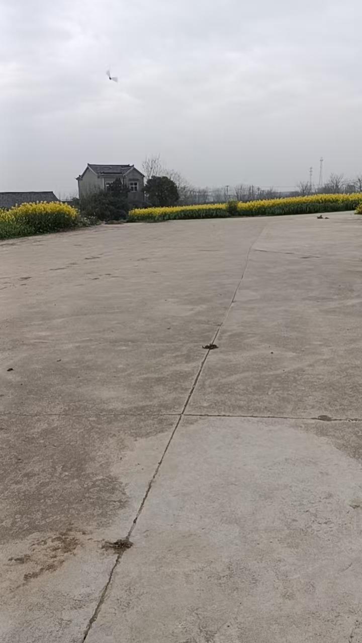 六合区冶山街道祠堂公墓园区图片