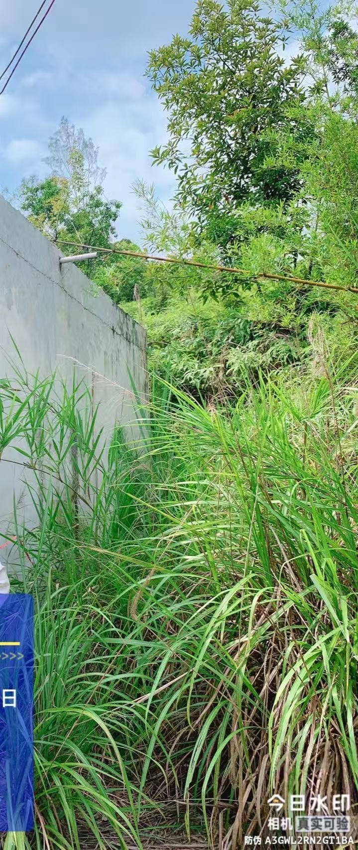 翁源县龙仙镇马山村10组骨灰楼园区图片