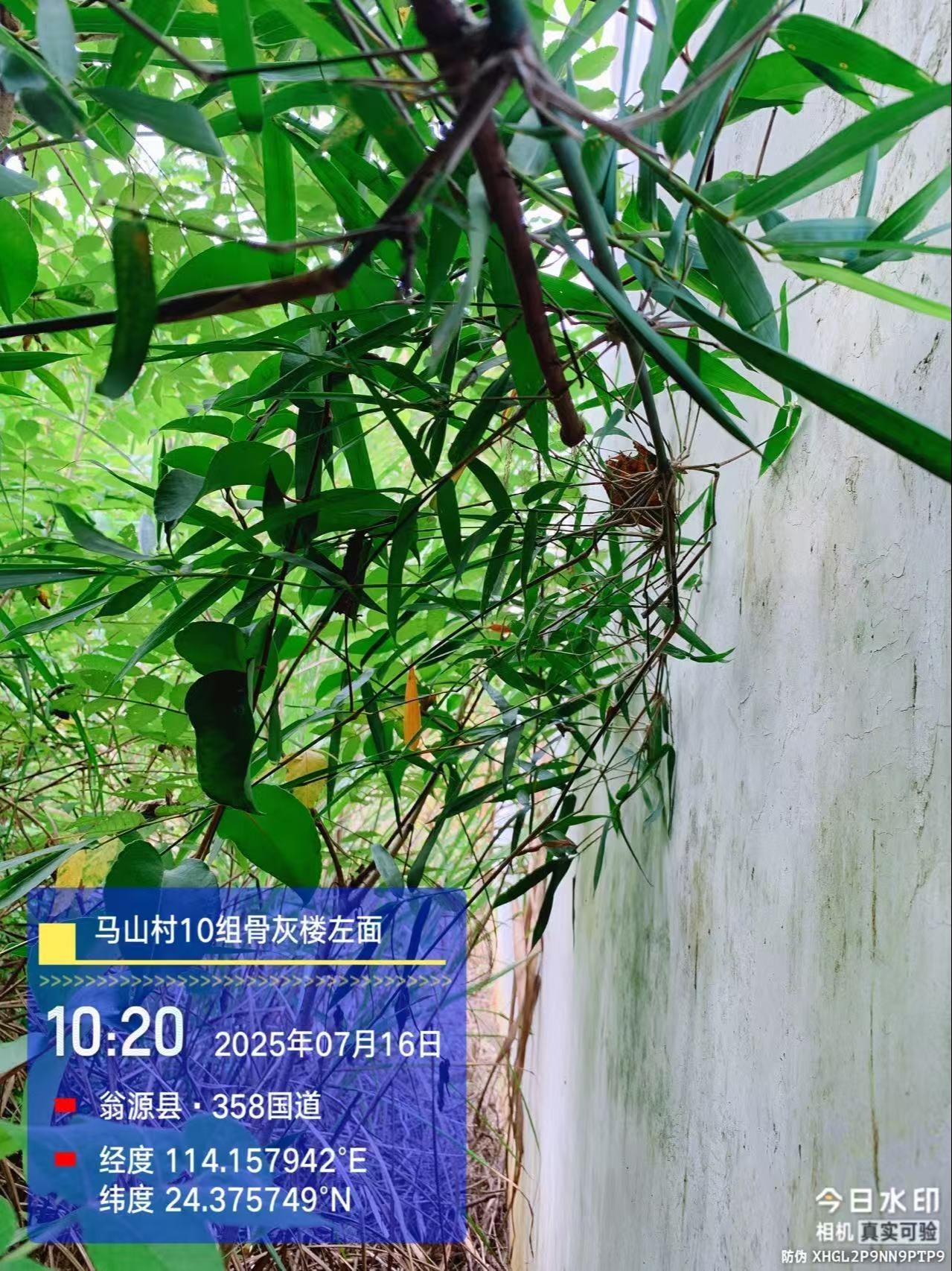 翁源县龙仙镇马山村10组骨灰楼园区图片