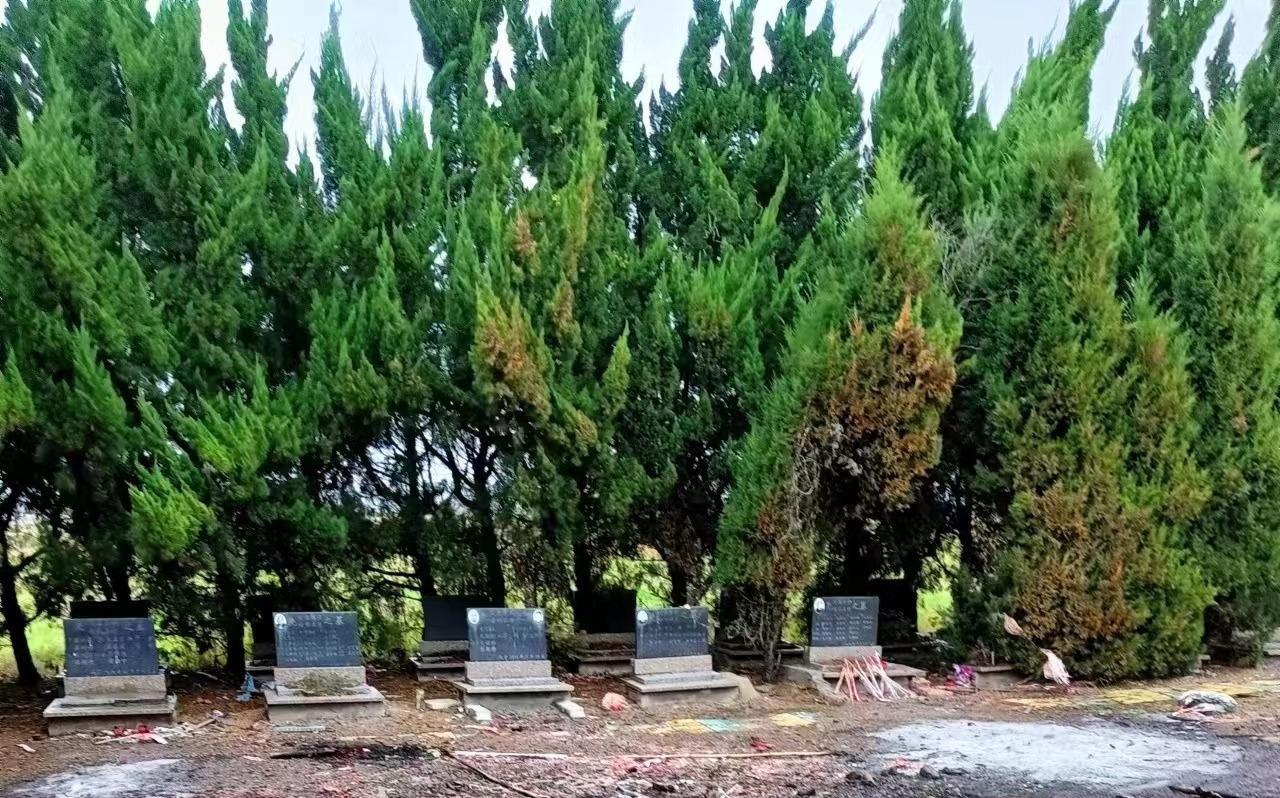 淮南市毛集实验区夏集镇公益性公墓园区图片