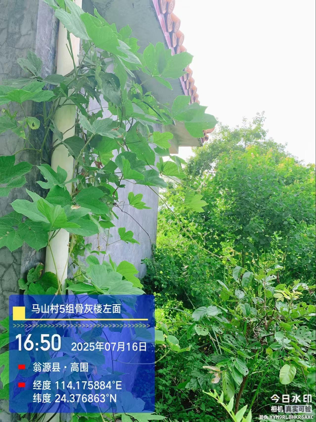翁源县龙仙镇马山村5组骨灰楼园区图片