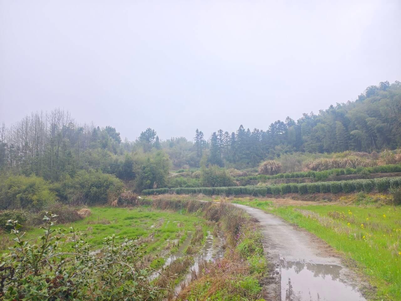 乌石镇农村公益性公墓园区图片