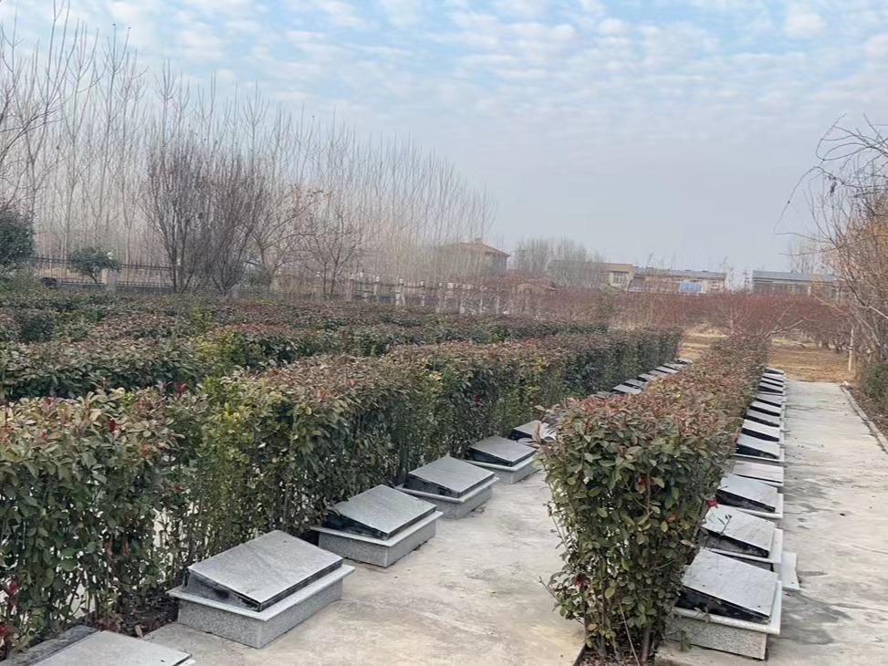 唐寨镇公益性公墓园区图片