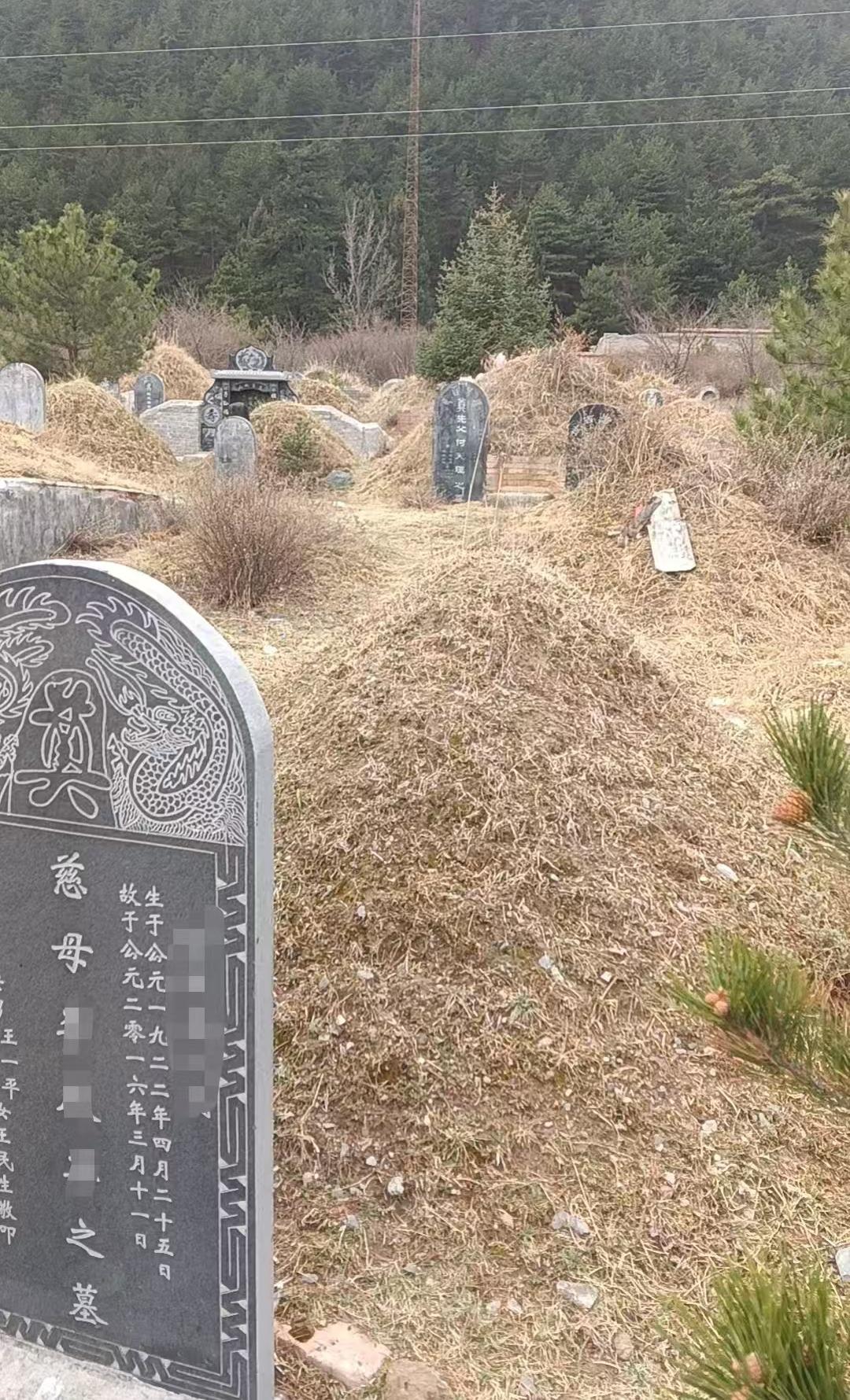 迭部县公益性公墓园区图片