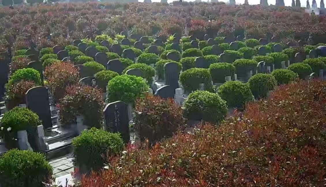 萧县长山公墓园区图片