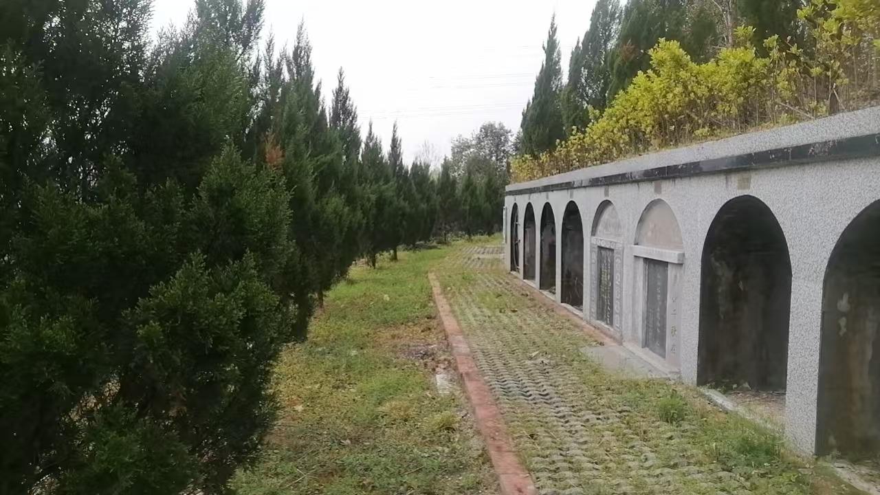 金寨县青山镇公墓园区图片