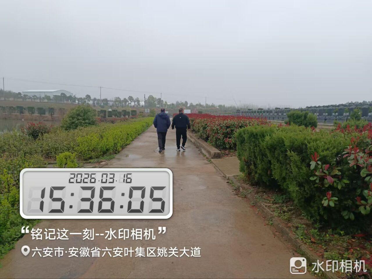 六安市叶集区姚李镇幸福山公墓园区图片