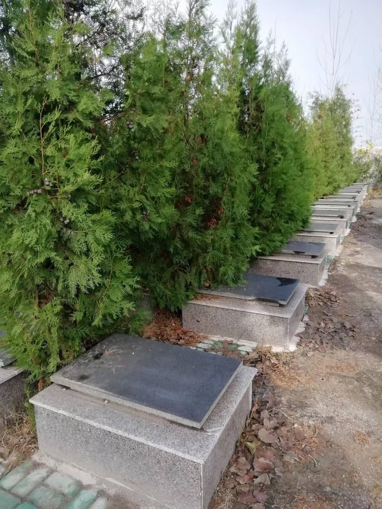 萧县张庄寨镇公益性公墓园区图片