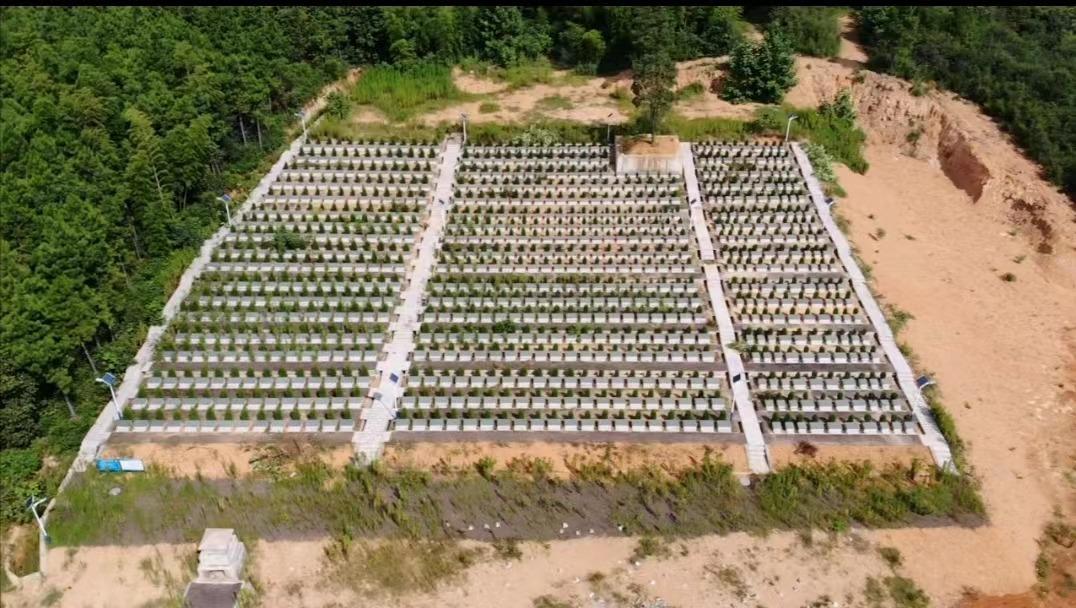 莹山村凤凰山公益性公墓园区图片