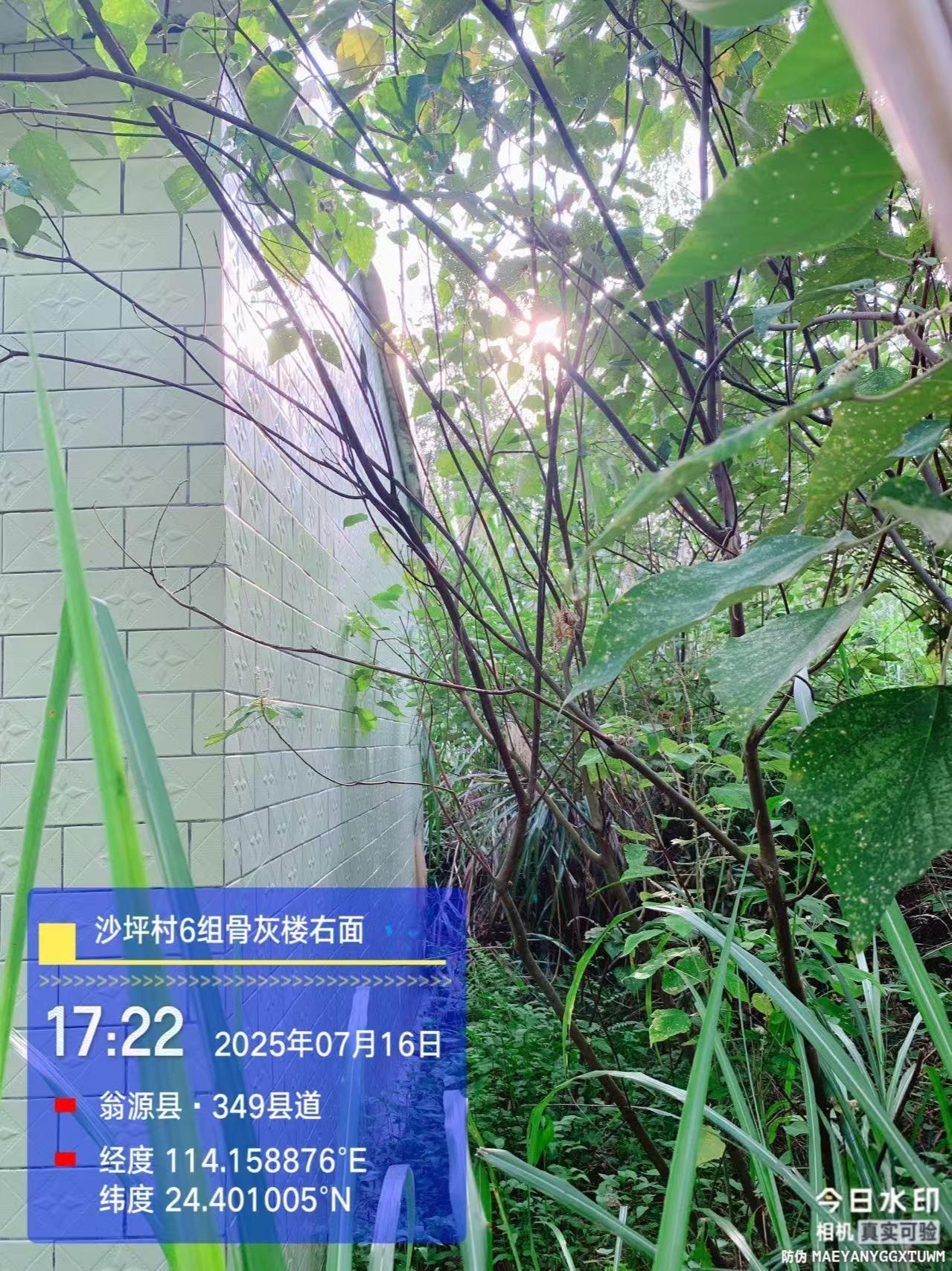 翁源县龙仙镇沙坪村6组陈氏福寿楼园区图片