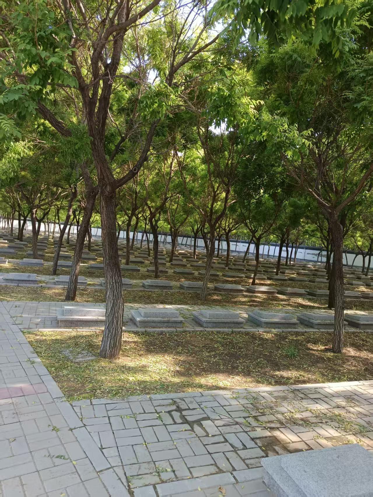 庞各庄镇梨花村公墓园区图片