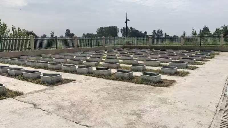 郭庙镇公墓园区图片