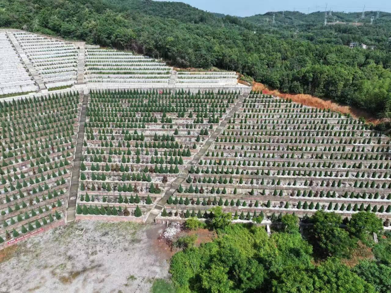 宜都市枝城镇白杉湾生命纪念园园区图片