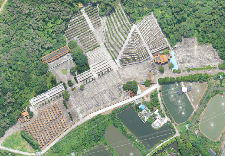 佛山市顺德区杏坛镇永安堂园区图片