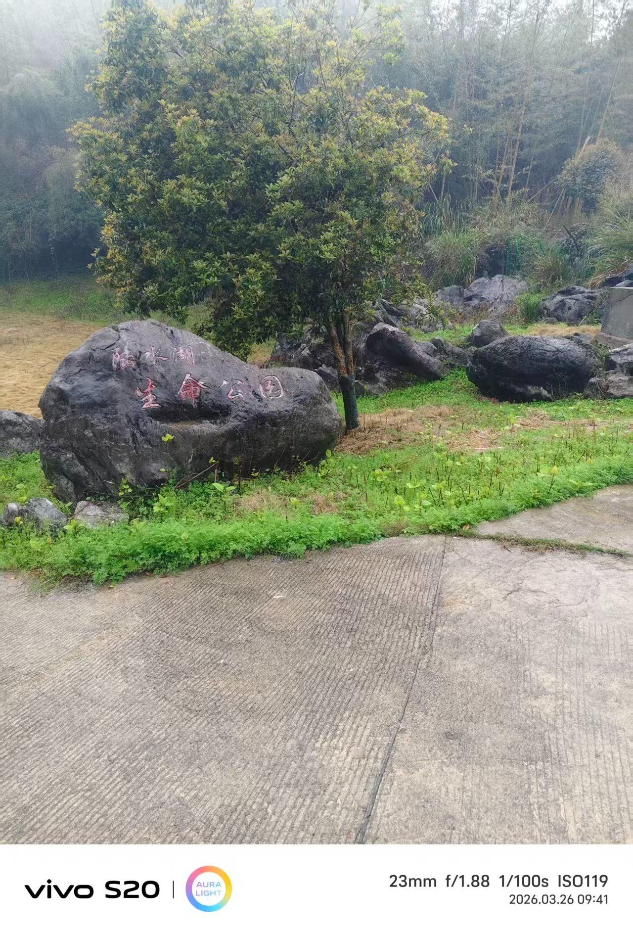 赤壁市公益性公墓（陆水湖街道）园区图片