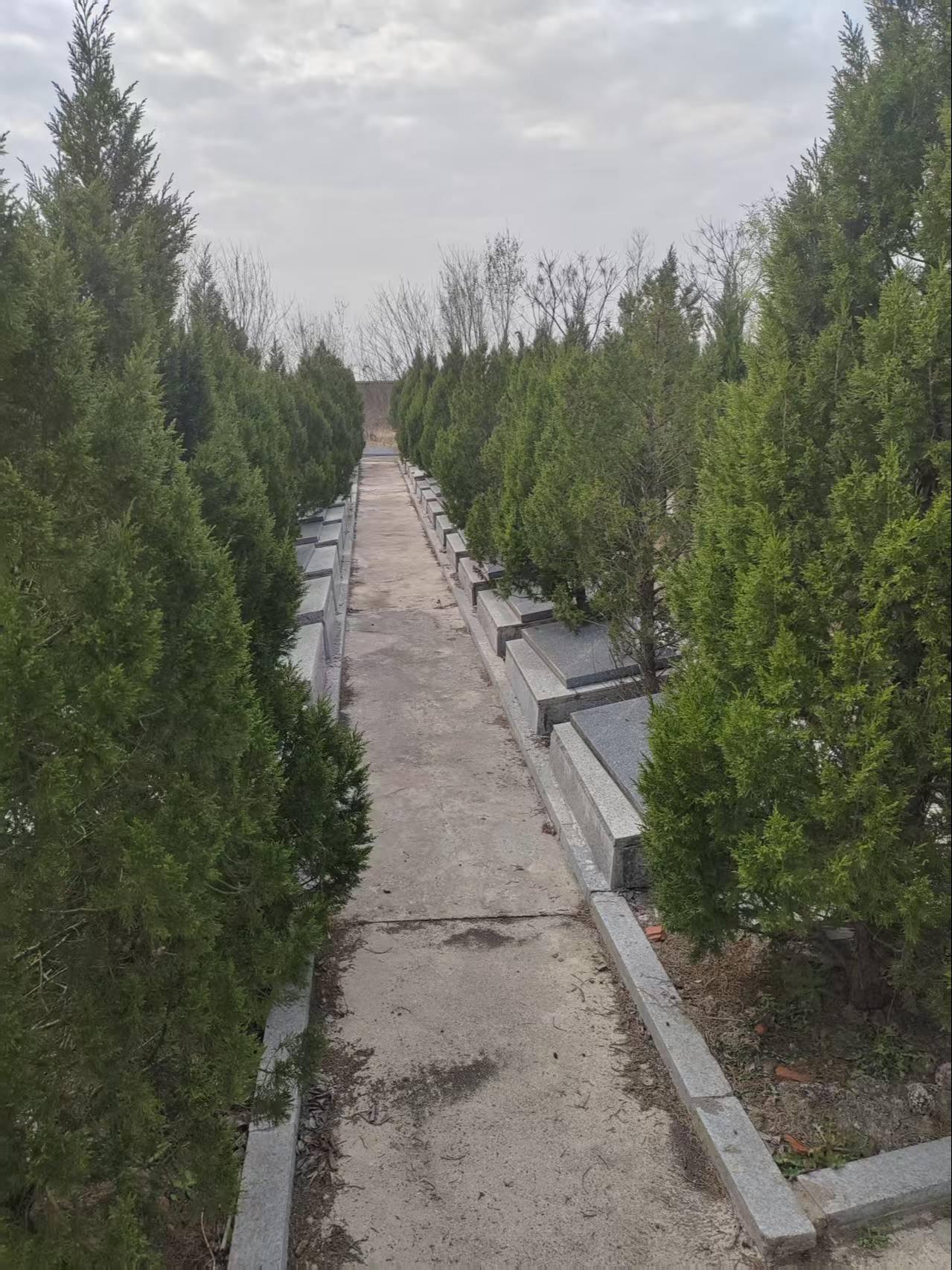 西卅店镇公益性公墓园区图片