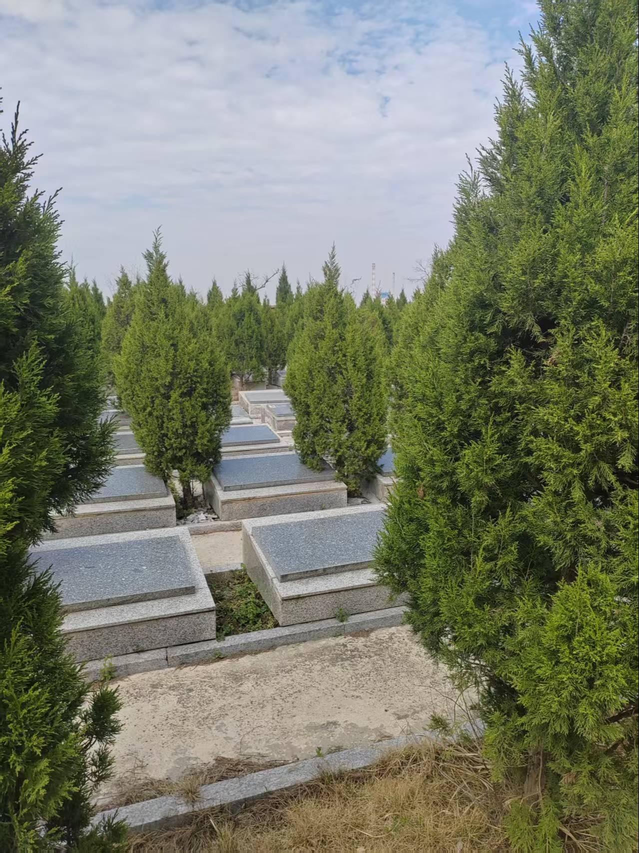 西卅店镇公益性公墓园区图片