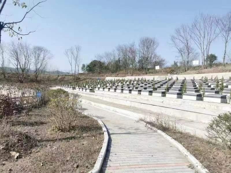 舒城县张母桥镇庙冲村公益性公墓园区图片