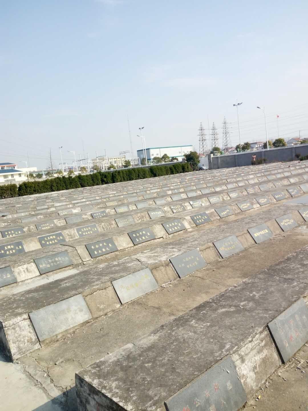 启东市吕四港镇鹤城陵园园区图片