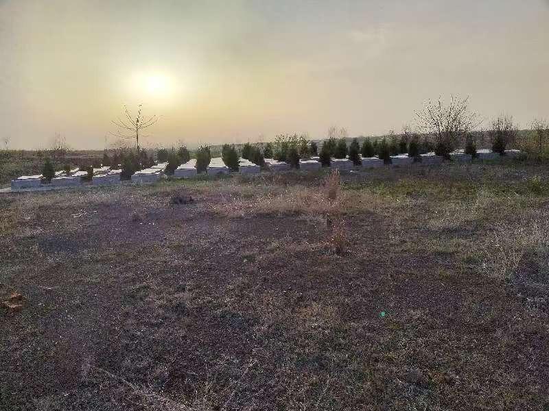 明南街道仙人山公墓园区图片