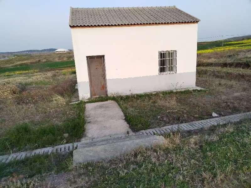 明南街道仙人山公墓园区图片