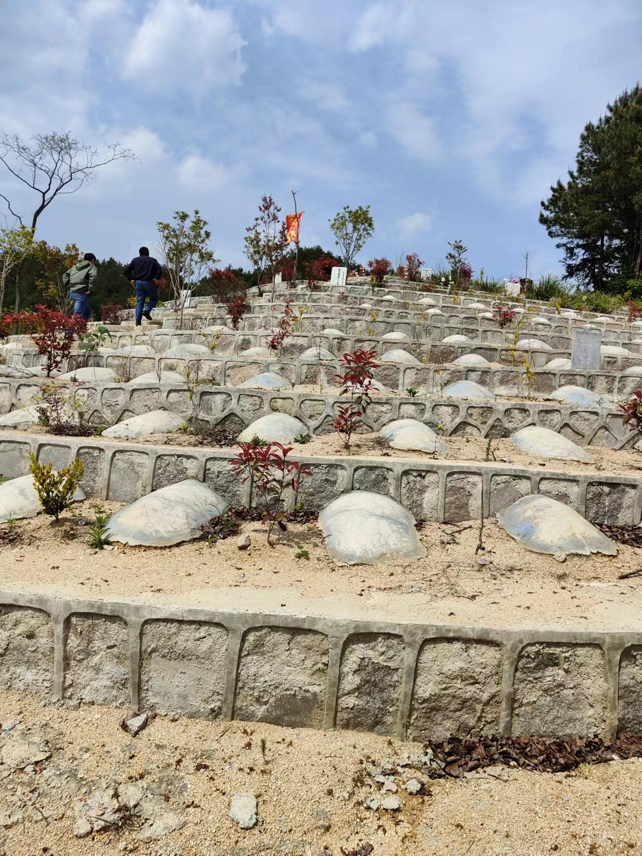 潜山市槎水镇公益性公墓园区图片