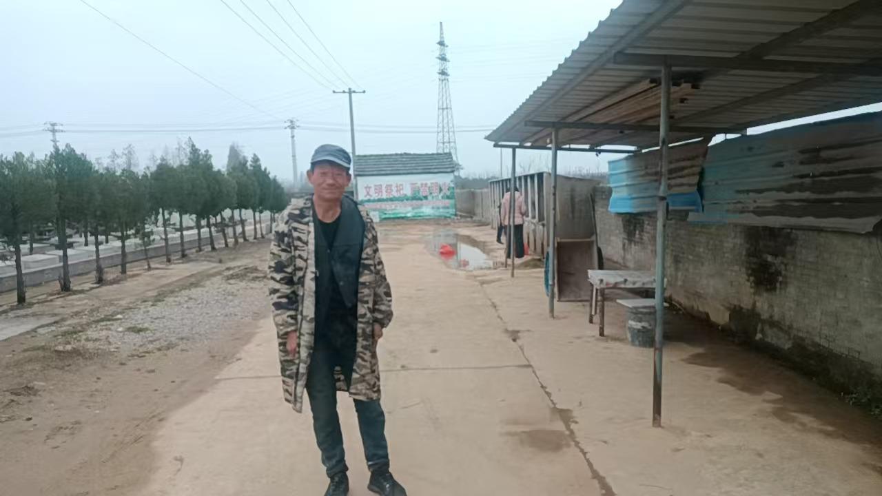 陶辛镇奚村公墓园区图片