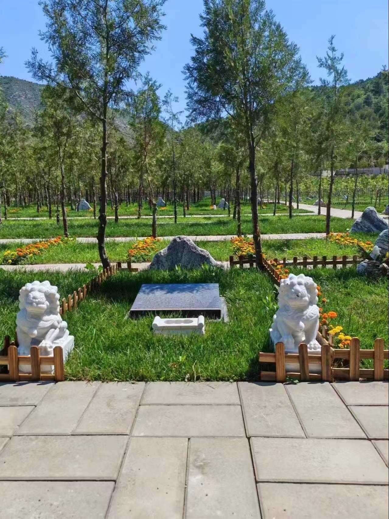 北京旧县镇团山村公益性公墓园区图片