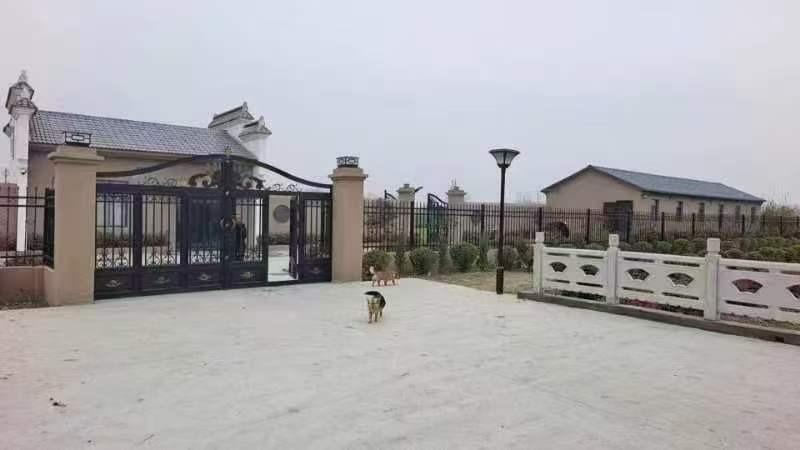 涡南镇邵大村公益性公墓园区图片
