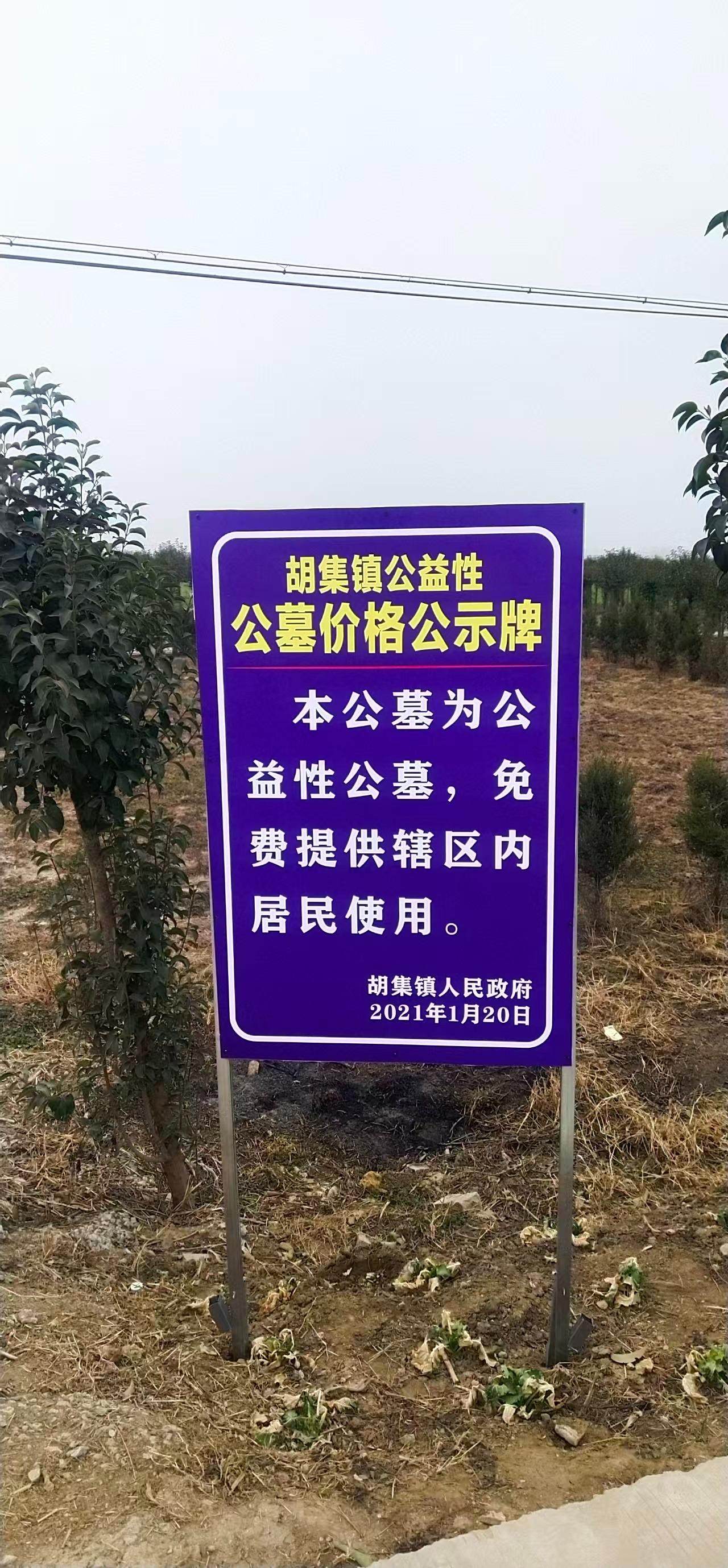 胡集镇张大村公益性墓地园区图片