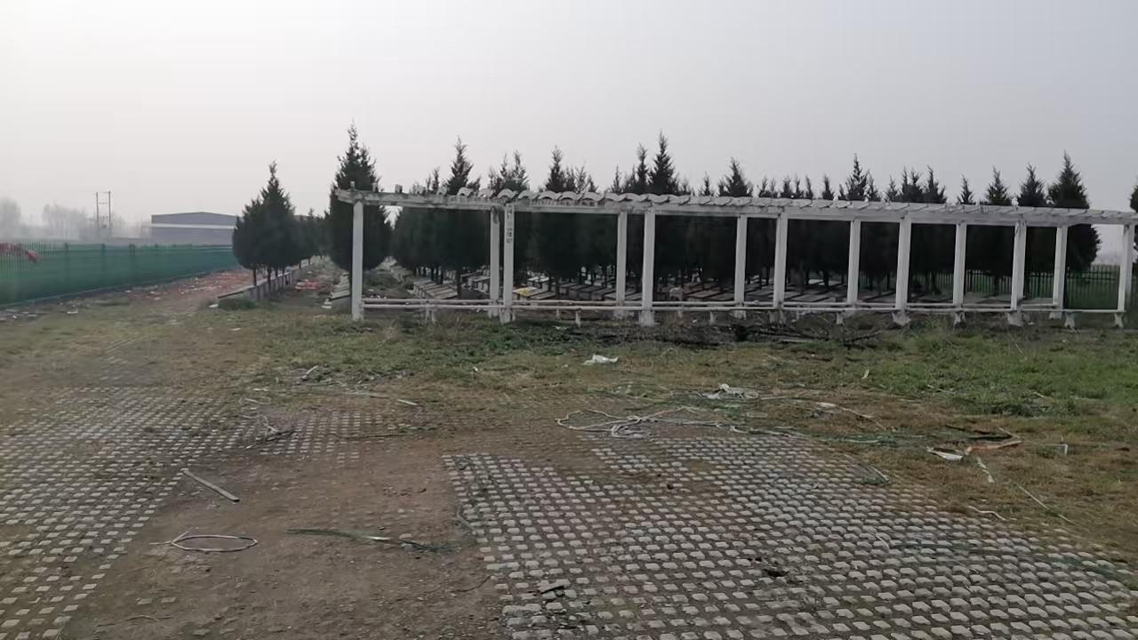蒙城县立仓镇三圩公益性公墓园区图片