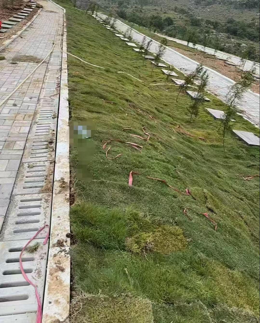 确山县城市公益性公墓园区图片