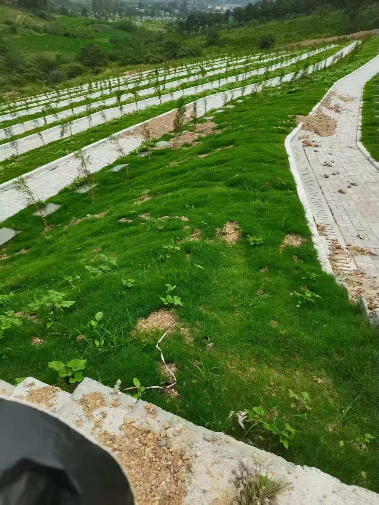 确山县城市公益性公墓