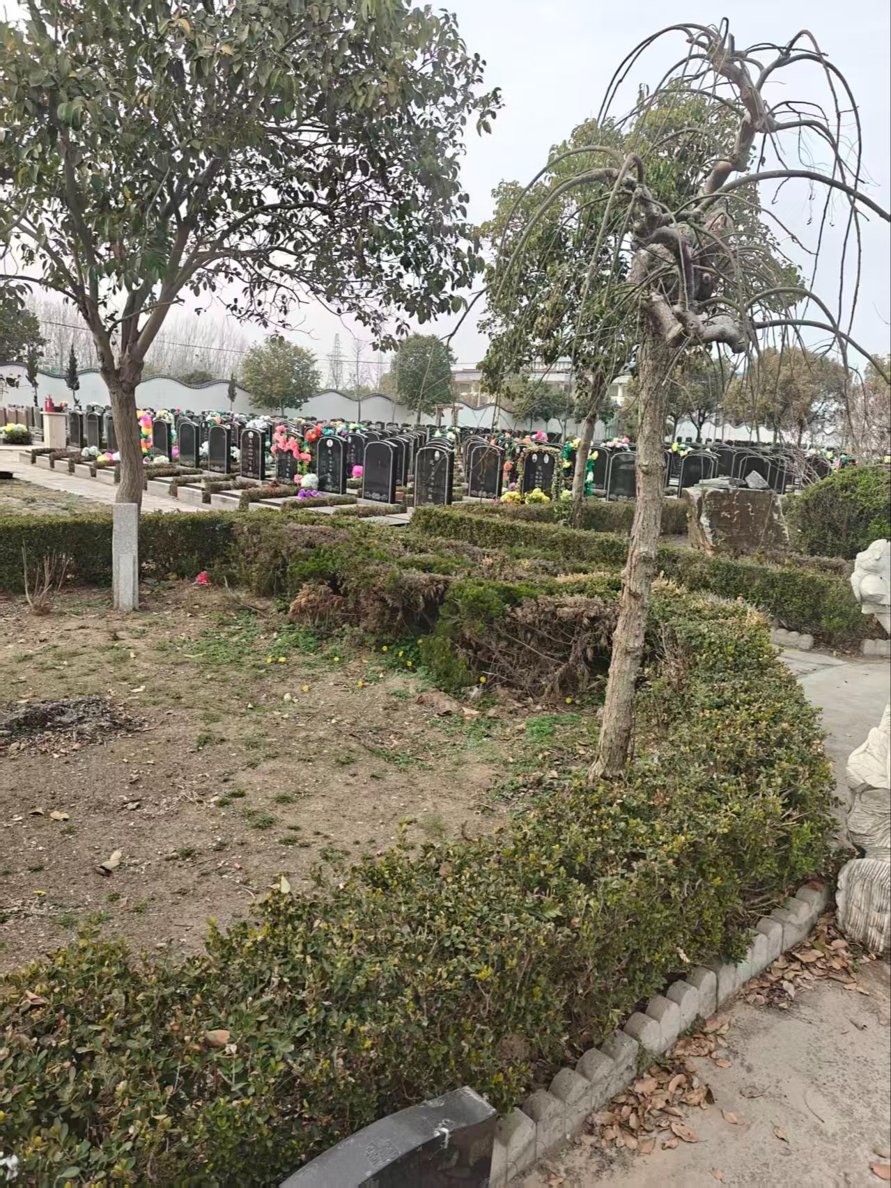 西华县福乐园公墓有限责任公司园区图片
