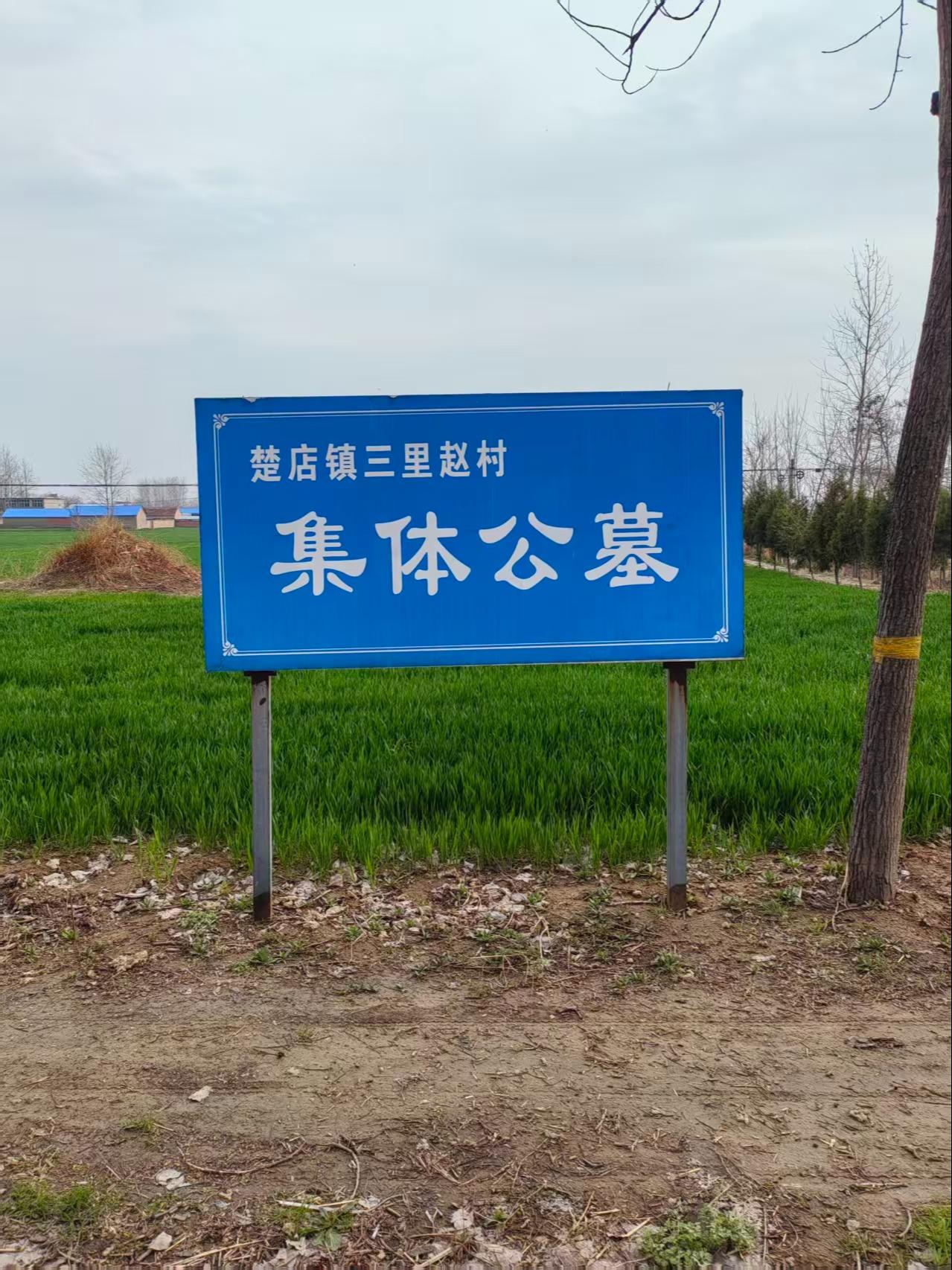 涡阳县楚店镇三里赵行政村公益性公墓园区图片