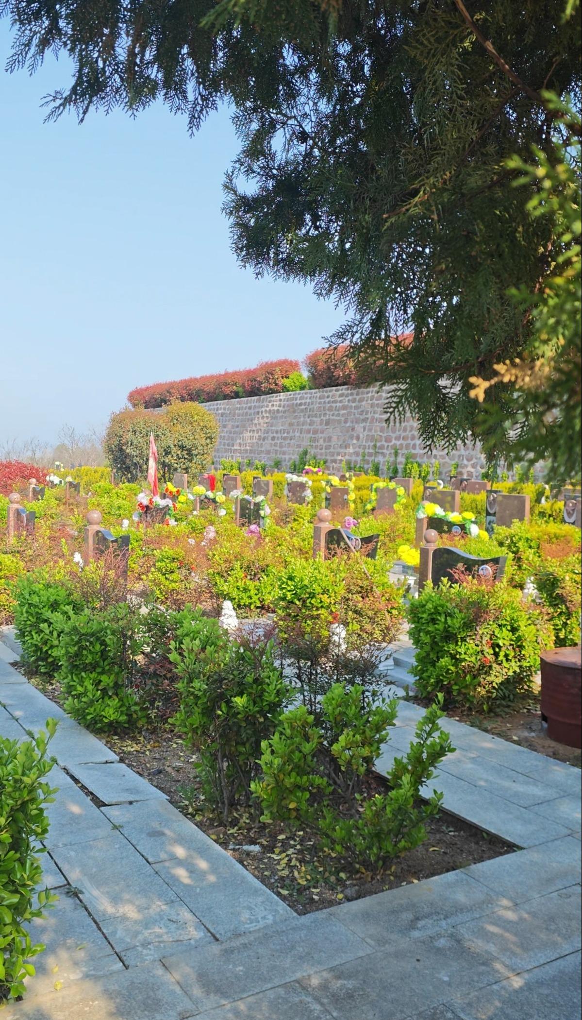 龙凤公墓园区图片