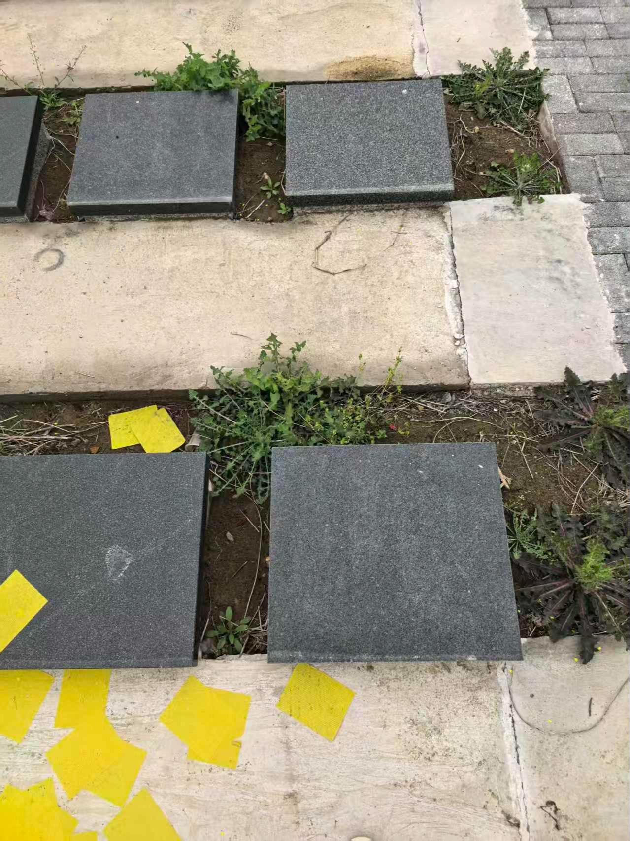 东双沟镇公益性公墓园区图片