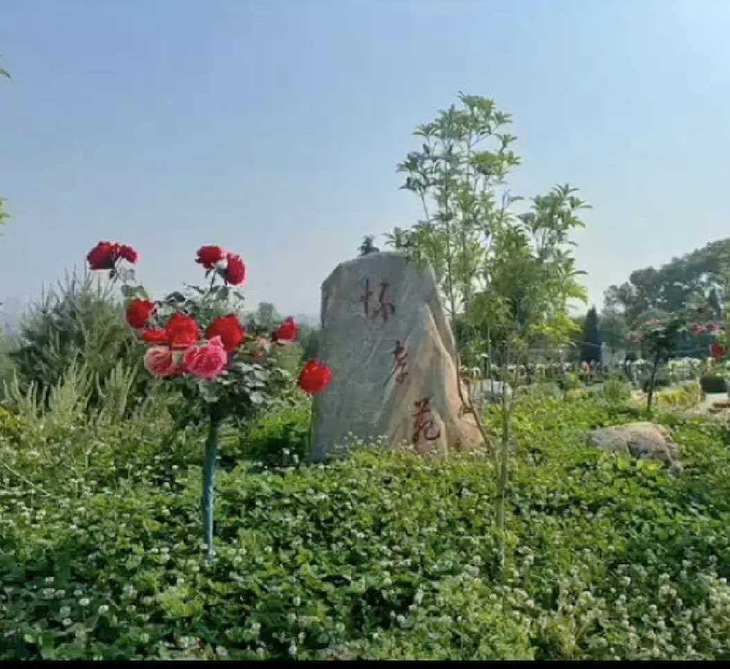 平顶山市仙居园塔陵有限公司园区图片