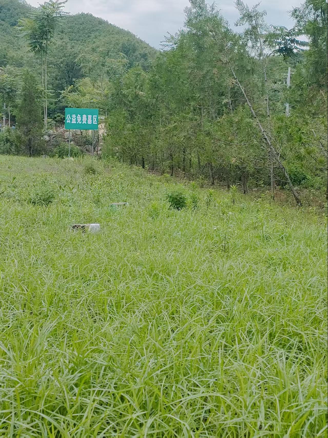 鲁山县佛祖山极乐园公墓园区图片