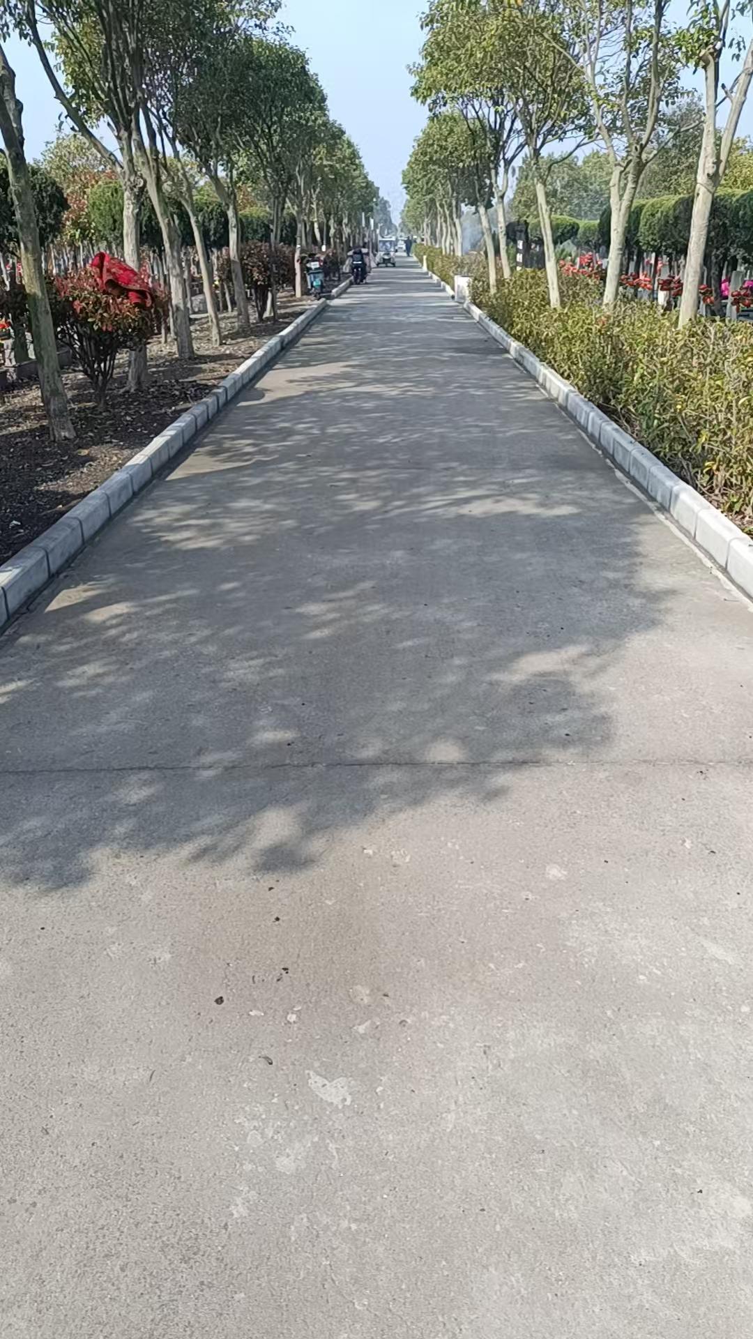 盐都区盐龙街道黄刘公墓园区图片